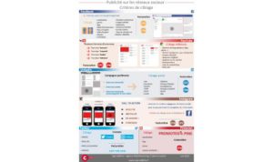 Infographie criteres de ciblage sur reseaux sociaux